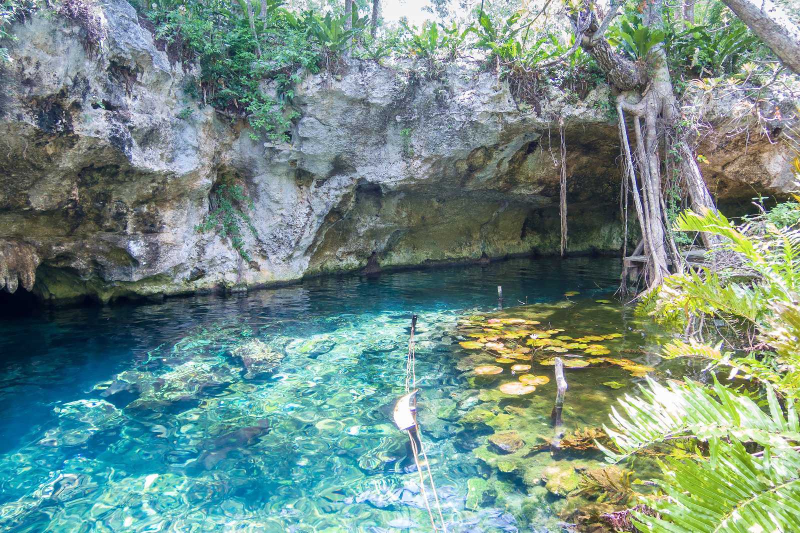 re-tulum-cenote-15.jpg